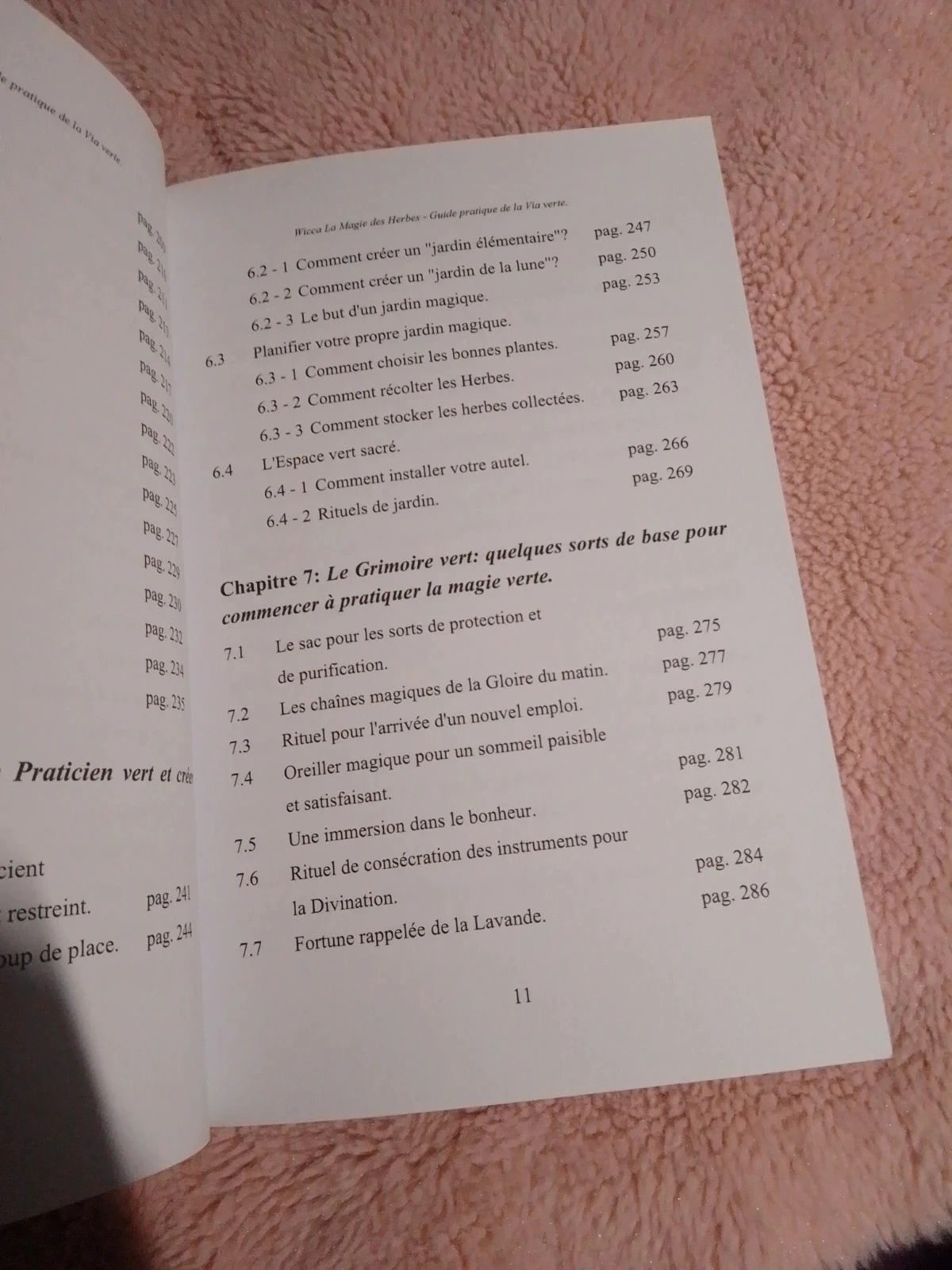 Wicca a magia das ervas volume 2 – photo 9